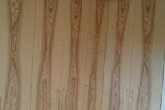 IMG-20210324-WA0081